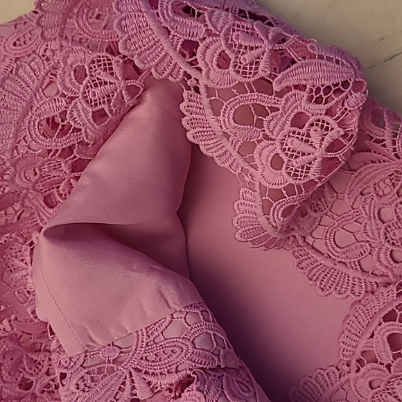 NWT J.Crew Guipure Pink Spaghetti Strap Lace Lined Scalloped Neckline/Hem Dress - Picture 13 of 17